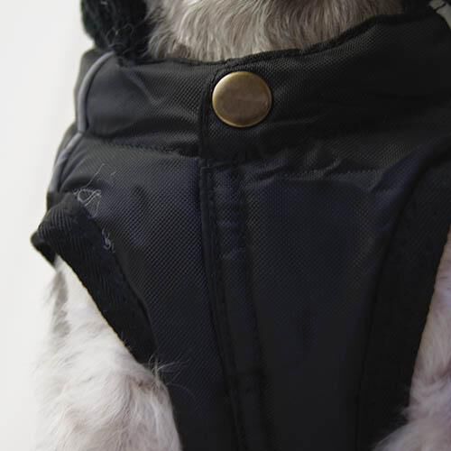 Ibañez Abrigo +Trek Breathe Comfort Fucsia para perro thumbnail