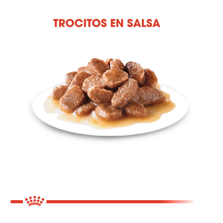 Royal Canin Senior 7+ Instinctive sobres para gatos thumbnail