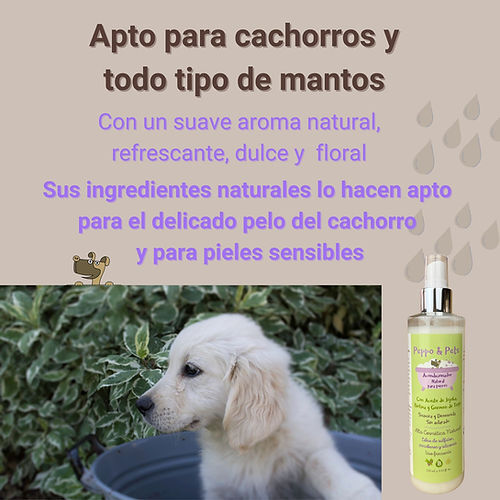 Peppo and Pets- Spray Acondicionador elaborado con ingredientes naturales para perros- Con aceite de jojoba, , large Imagen numero 4