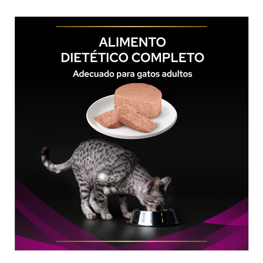 195 g Pro Plan Veterinary Diets Urinary Pavo latas para gatos, , large Imagen numero 3