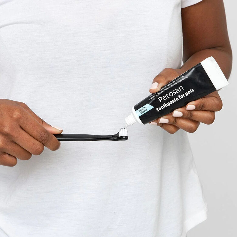 Petosan Pasta de Dientes con Sabor a Pollo para perros y gatos thumbnail