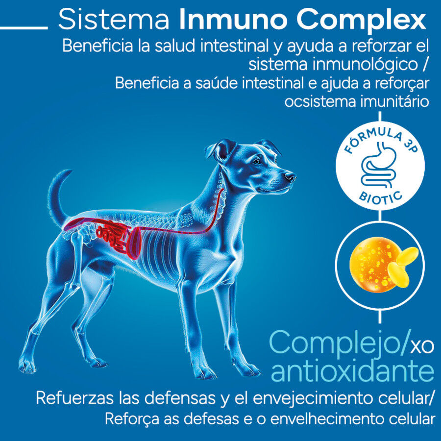 Criadores Cient&iacute;fico Sensitive Adulto Mini Pienso Salm&oacute;n para perros, , large Imagen numero 3