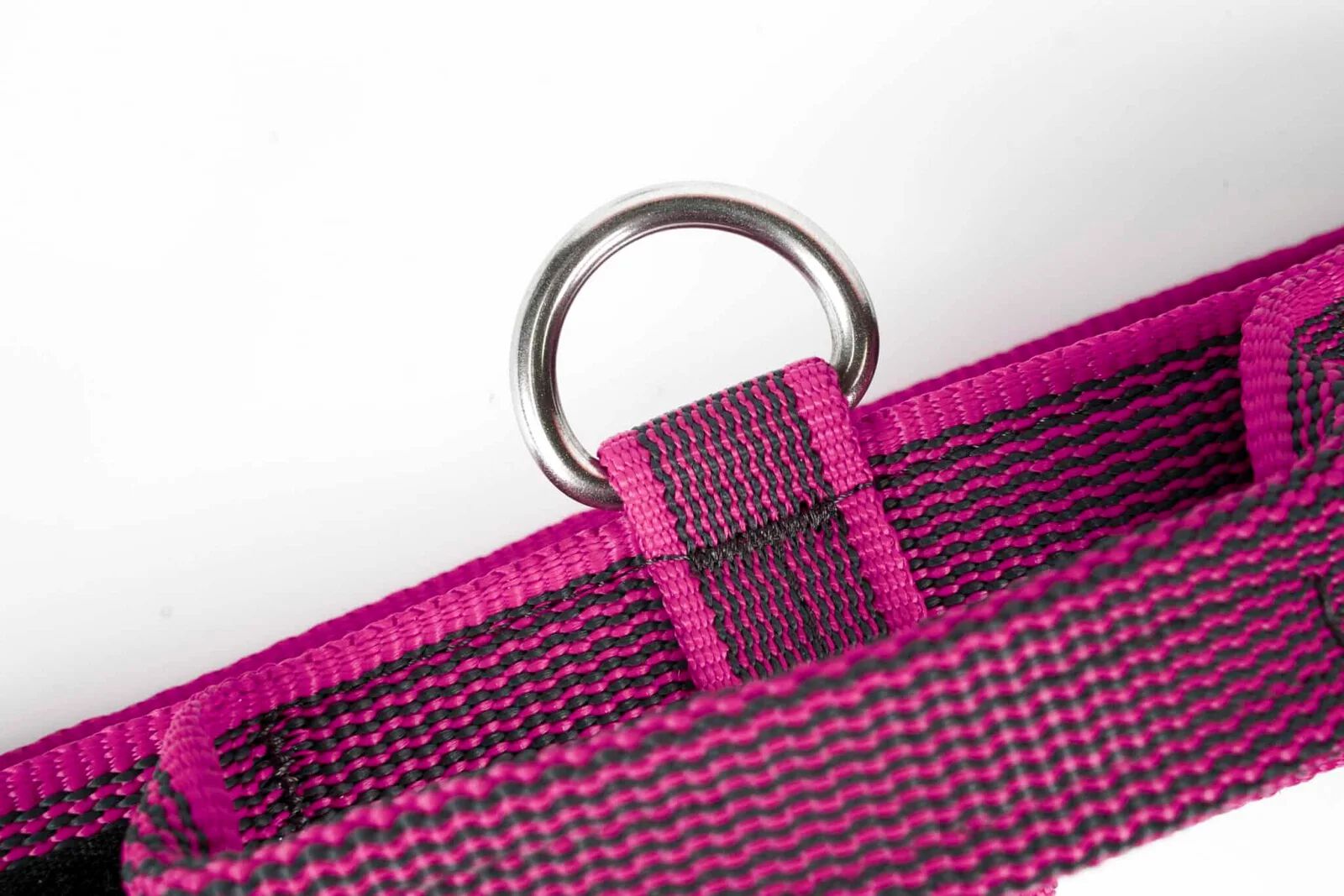 Collar Con Asa y Doble Cierre Julius K9 Rosa, , large Imagen numero 2