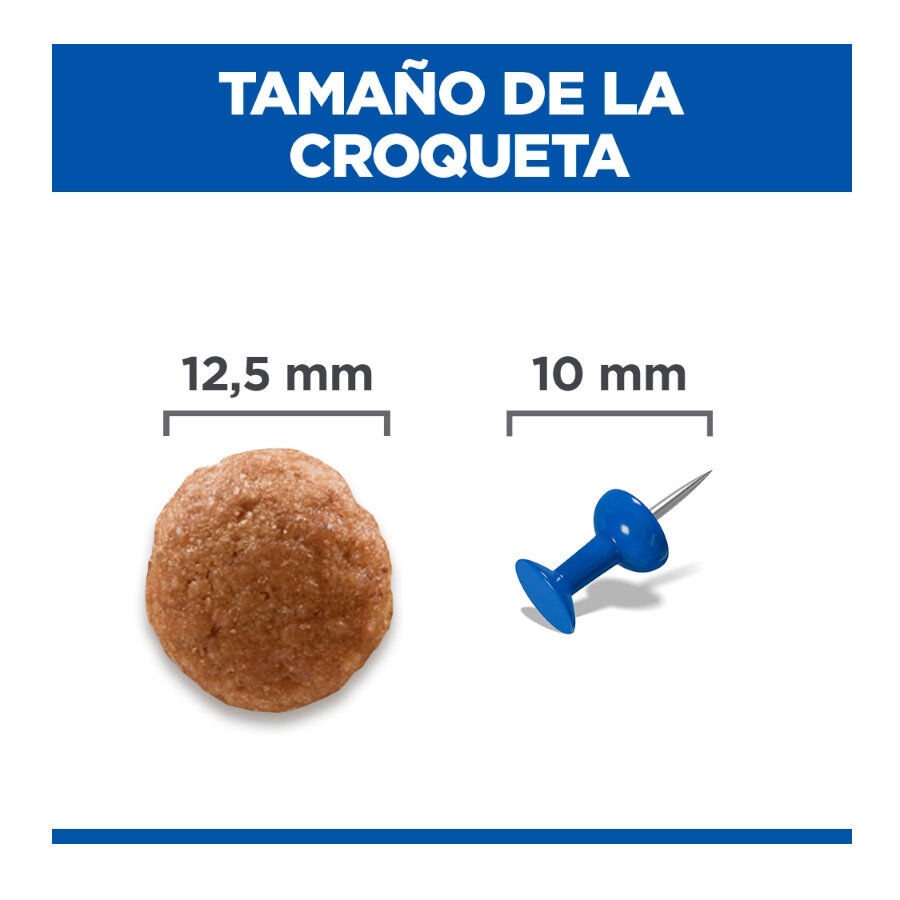 2.5 kg Hill's Science Plan Perfect Digestion Adult Medium Pollo pienso para perros, , large Imagen numero 4