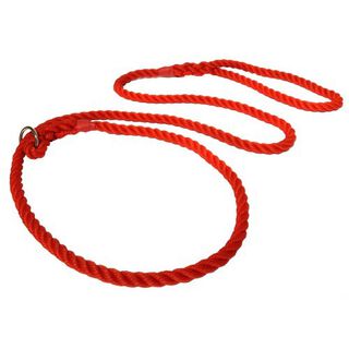 Correa todo en uno para perros color Rojo