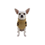 Gotoo Jersey Punto Estampado Leopardo para perros, , large indicador imagen numero 7