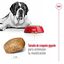 15 kg Royal Canin Giant Adult pienso para perros, , large indicador imagen numero 7
