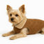 Outech Abrigo Impermeable para perros, , large indicador imagen numero 4
