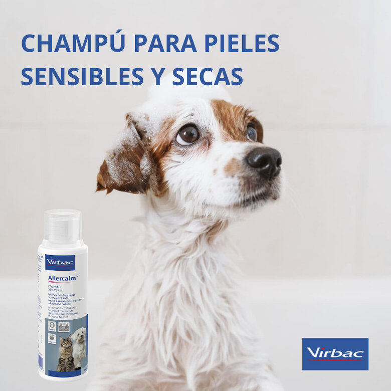 Virbac Allercalm Champú para pieles sensibles y secas en perros y gatos, , large image number null