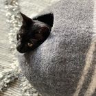 Mishum cueva Petra para gatos color Gris antracita , , large image number null