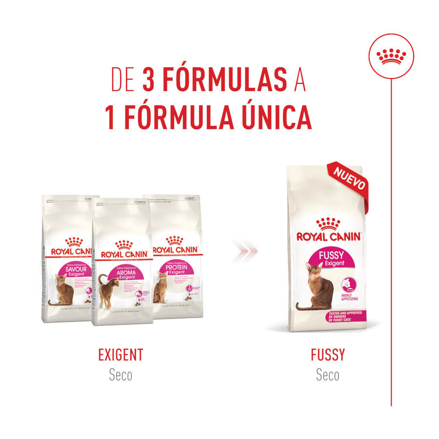 10 kg Royal Canin Fussy Exigent Pienso Ave para gatos, , large Imagen numero 2
