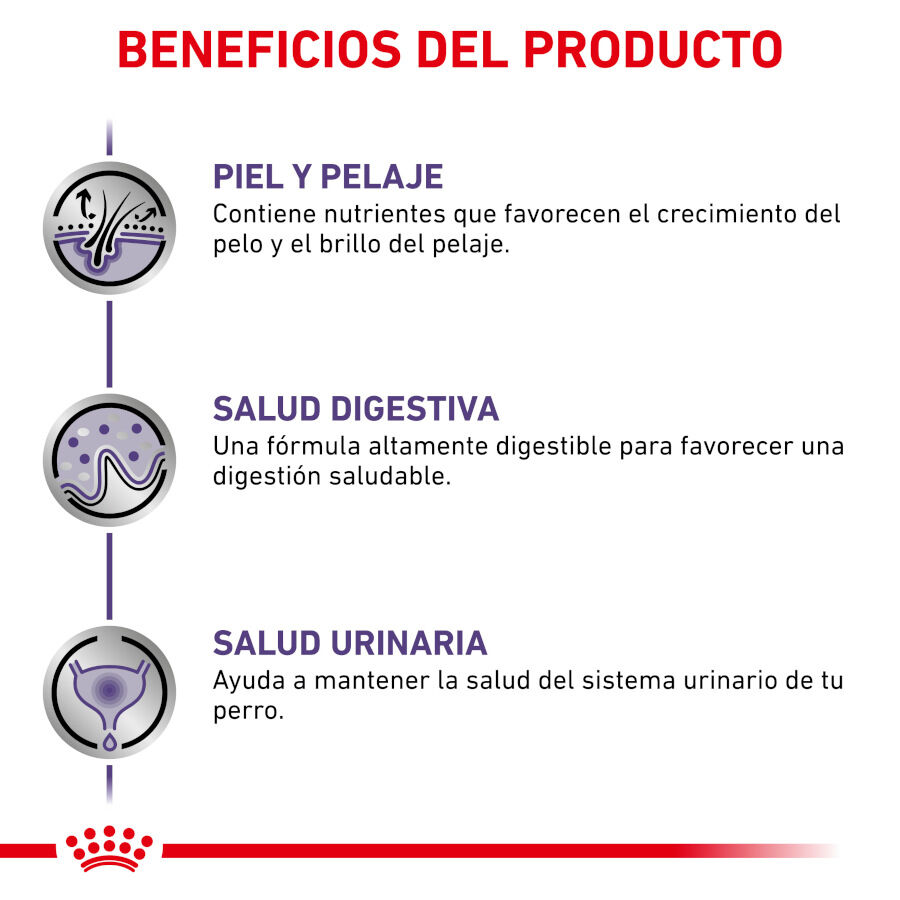 12 sobres x 85 g Royal Canin Expert Adult L&aacute;minas en Salsa sobre para perros, , large Imagen numero 3