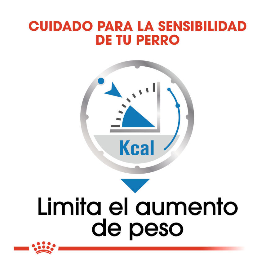 Royal Canin Light Weight Care Sobres Paté para perros thumbnail