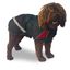 Abrigo +Street Breathe Comfort ABRIGO STREET 45 CM, , large indicador imagen numero 1