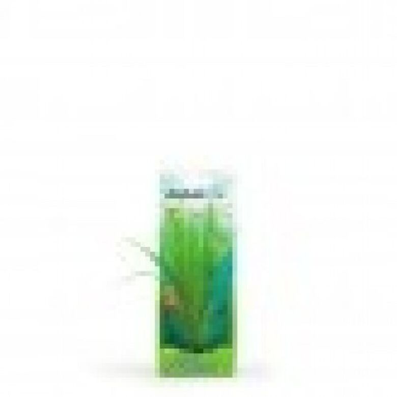 Planta artificial Valisneria 20 cm color Verde thumbnail