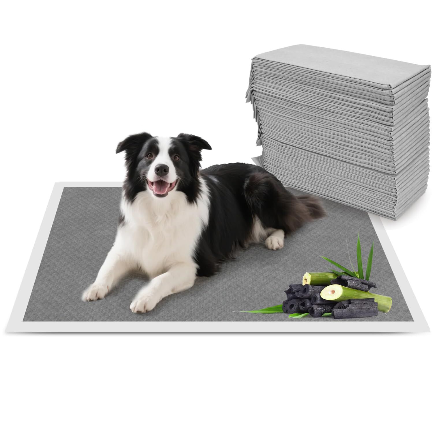 Nobleza Empapadores Perros 90x60cm (50 Unid), Carbón Activado para Control de Olores, Absorbe al Instante ¡Secado Rápido! Almohadillas de Antiderrames de Perros y Cachorros thumbnail