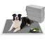 Nobleza Empapadores Perros 60x60cm (50 Unid), Carbón Activado para Control de Olores, Absorbe al Instante ¡Secado Rápido! Almohadillas de Antiderrames de Perros y Cachorros, , large indicador imagen numero 6