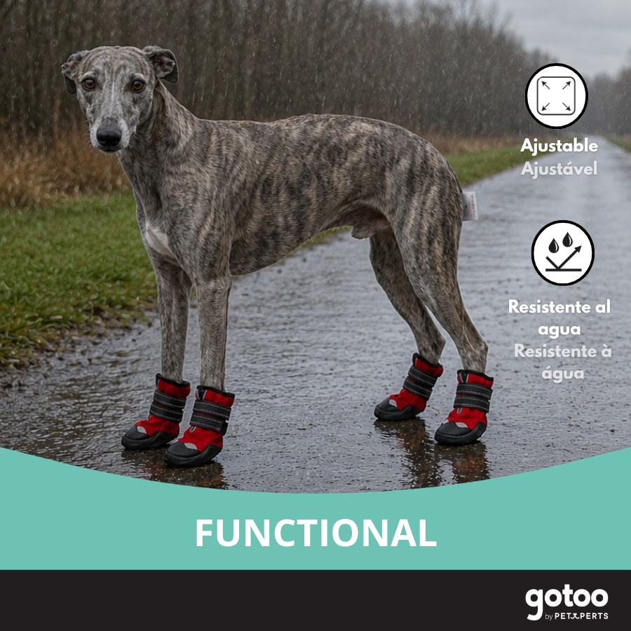 Gotoo Zapatos Rojo y Negro para galgos, , large Imagen numero 6
