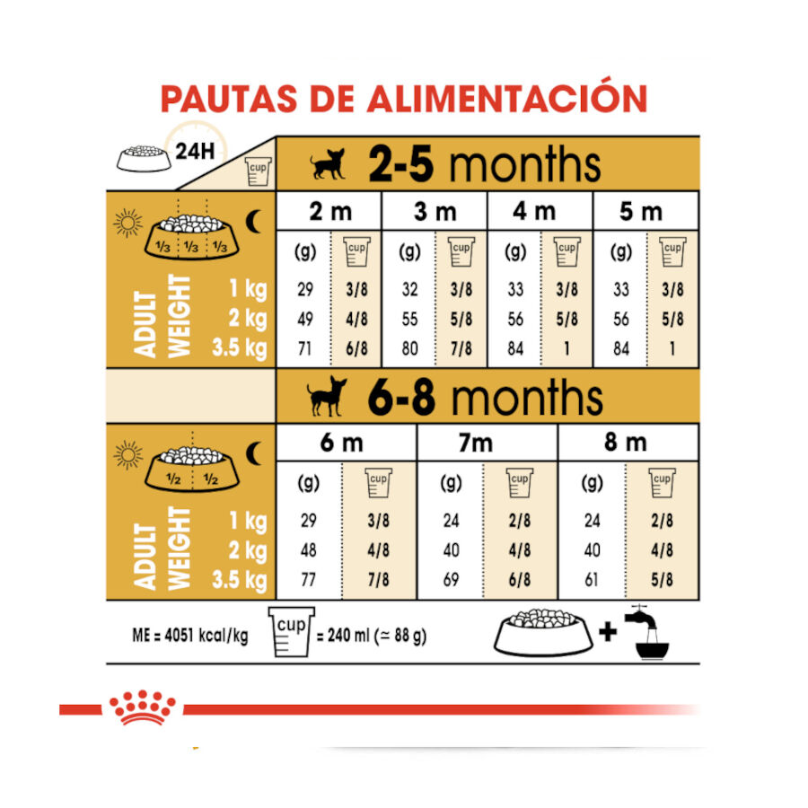 Royal Canin Puppy Chihuahua pienso para cachorros thumbnail