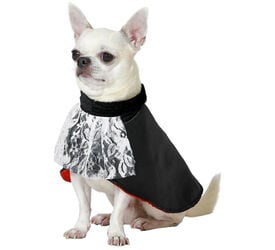 Atosa Disfraz Vampiro Drácula para perros especial halloween