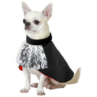 Atosa Disfraz Vampiro Drácula para perros especial halloween