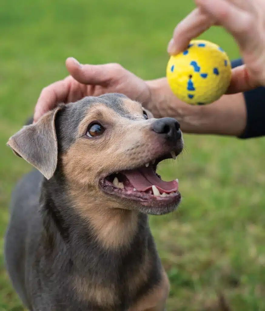 Zeus Nitro&trade; Bola Lastrada, L, &Oslash;7,6cm, , large Imagen numero 4