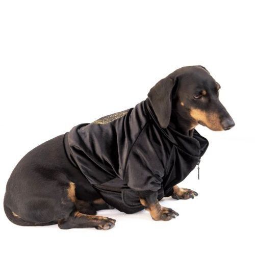 Chaqueta de terciopelo &Aacute;ngel para perros color Negro, , large Imagen numero 4