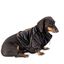 Chaqueta de terciopelo Ángel para perros color Negro, , large indicador imagen numero 4