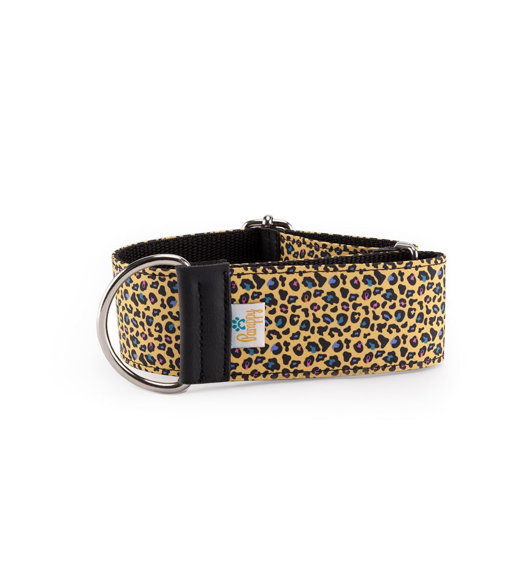 Collar Galgo Speedy Regulable Leopardo Amarillo, , large Imagen numero 1