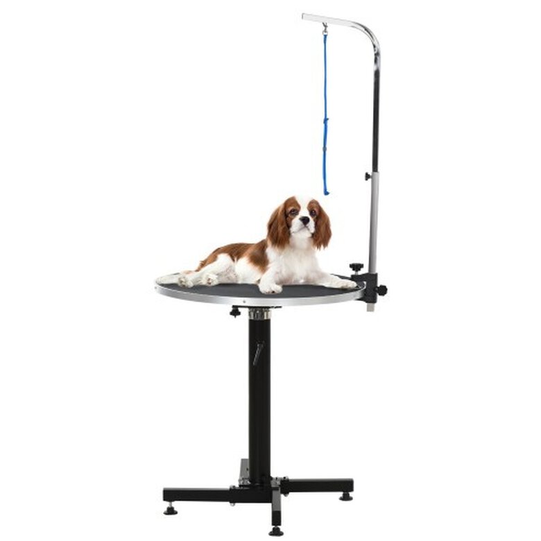 Mesa de peluquería antideslizante PawHut para mascotas color Negro, , large image number null