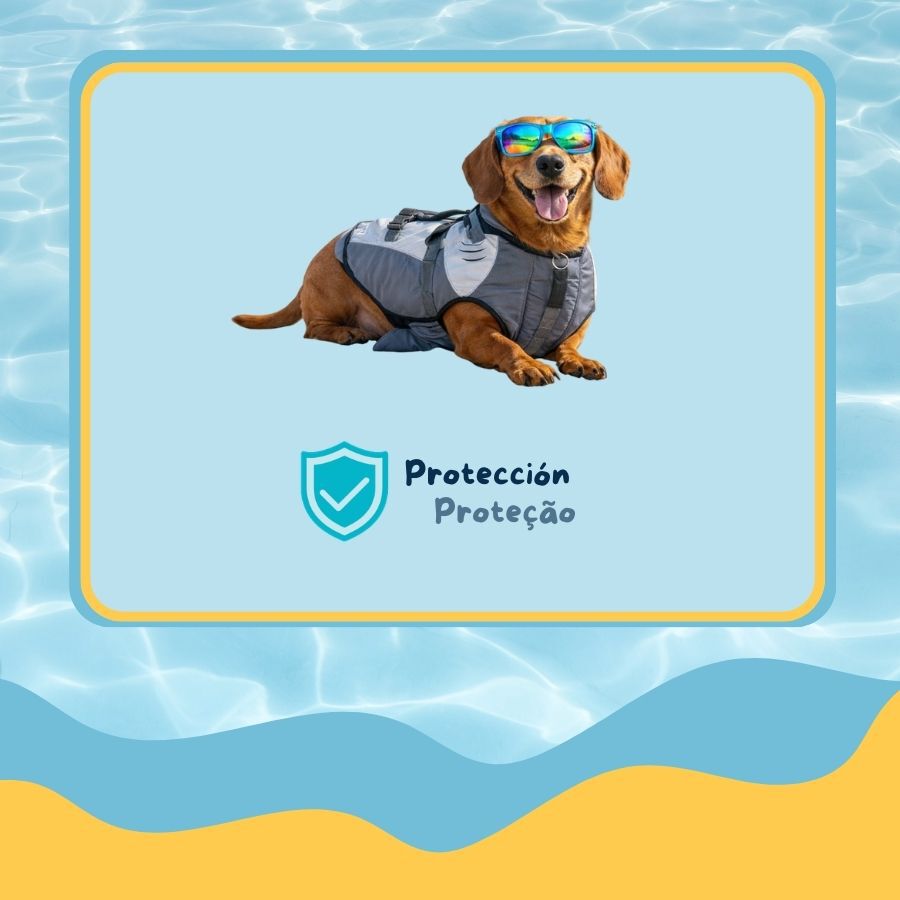 Summer Vibes Tibur&oacute;n Chaleco Salvavidas para perros, , large Imagen numero 4