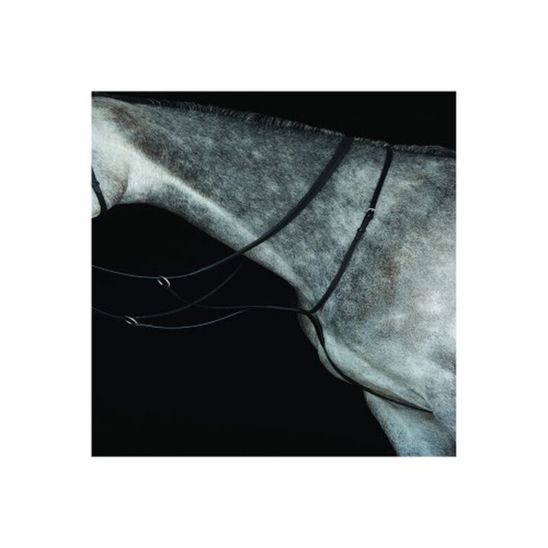 Collegiate Martingala Corredera de Piel Negro para caballos pony, , large image number null
