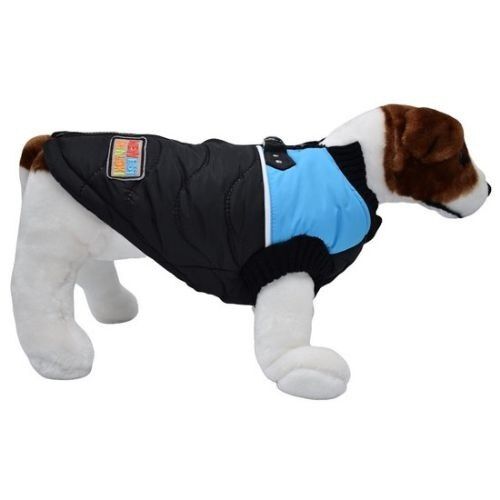 Loyal abrigo mia negro y azul para perros, , large Imagen numero 1