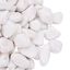 vidaXL Guijarros pulidos blancos 10 kg 2-5 cm, , large indicador imagen numero 7