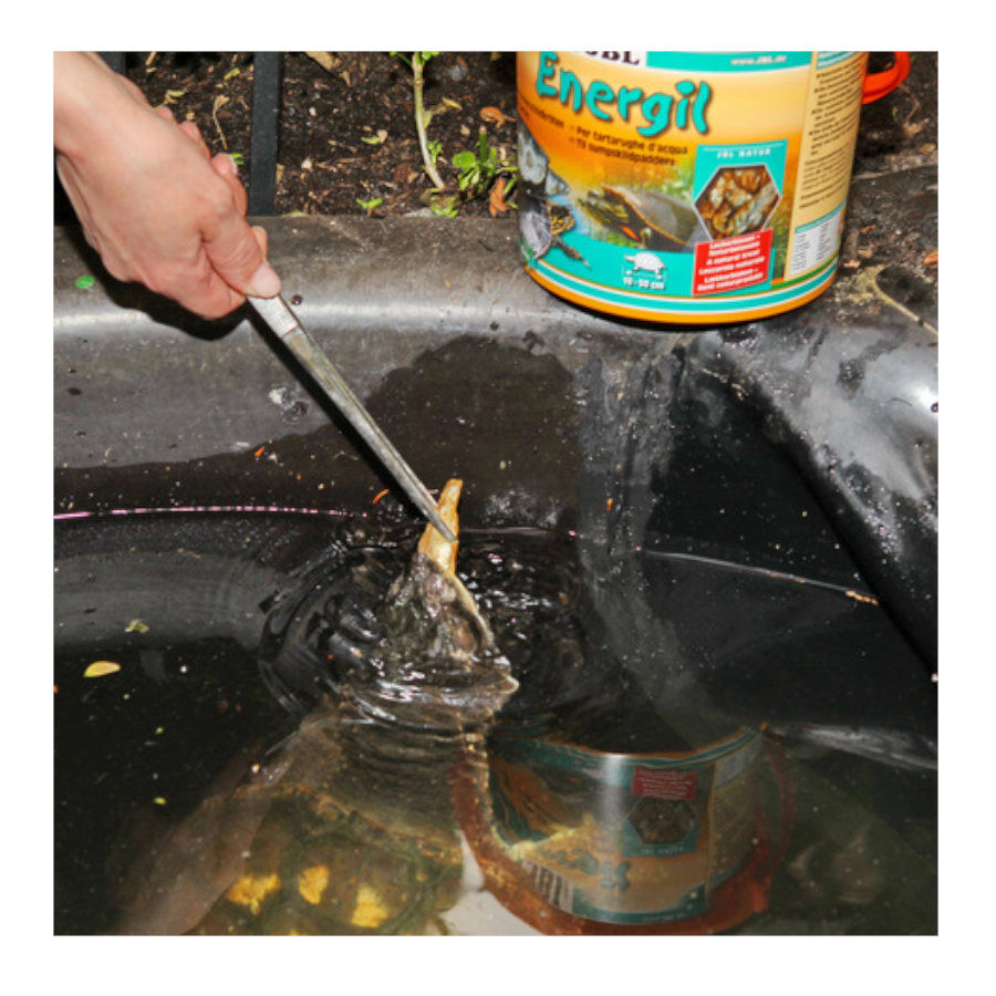 JBL Energil Peces y Crustáceos Deshidratados para Tortugas thumbnail