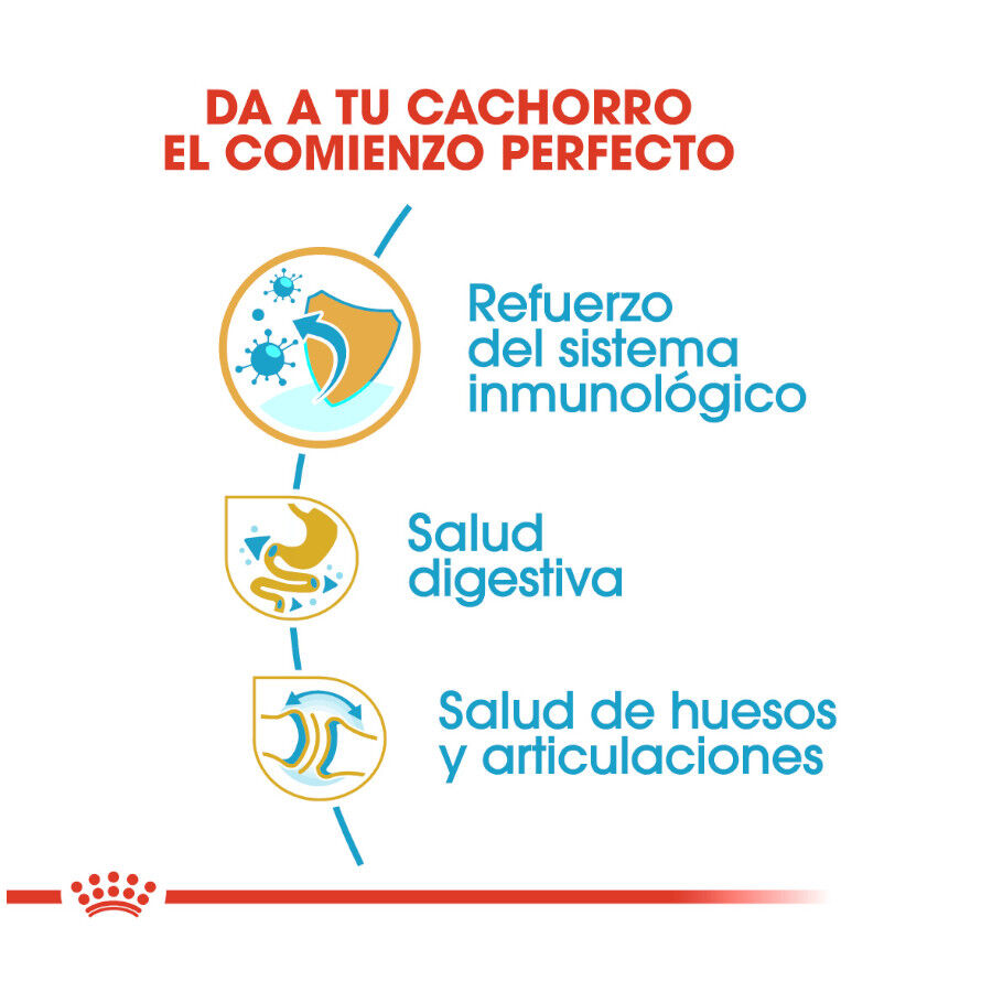 Royal Canin Puppy Bulldog pienso para cachorros thumbnail