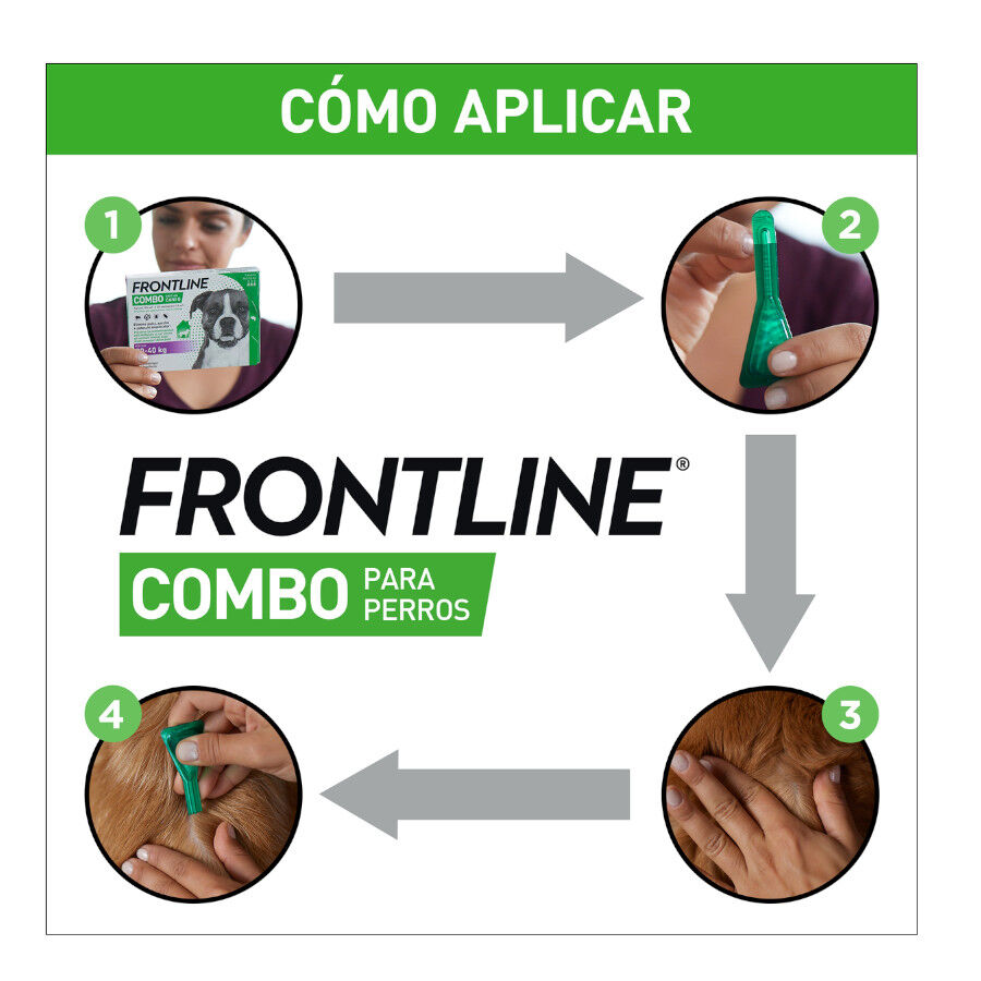 Frontline Spot On Combo Pipetas Antiparasitarias Perros 20 - 40 kg thumbnail