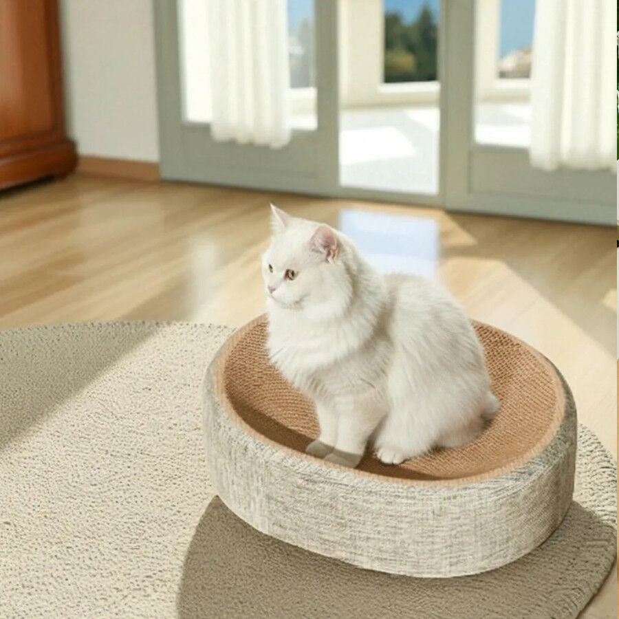 Althea Living - Rascador de sisal natural para gatos Caleta, cama y rascador, , large Imagen numero 5