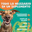 Suplemento 100% Natural 8 en 1 de Glucosamina Condroitina Probióticos MSM Colágeno Aceite de Salmón Mariscos Vitaminas y Omega 3 para Articulaciones Huesos Salud Flora Intestinal Digestiva para Perros, , large indicador imagen numero 2