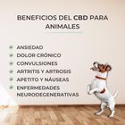FEEL COCOA ACEITE CBD 5% PARA MASCOTAS, , large image number null
