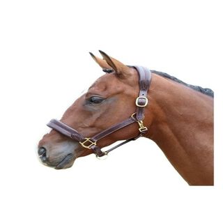 Blenheim Jaca Cabezada de Cuero para caballos