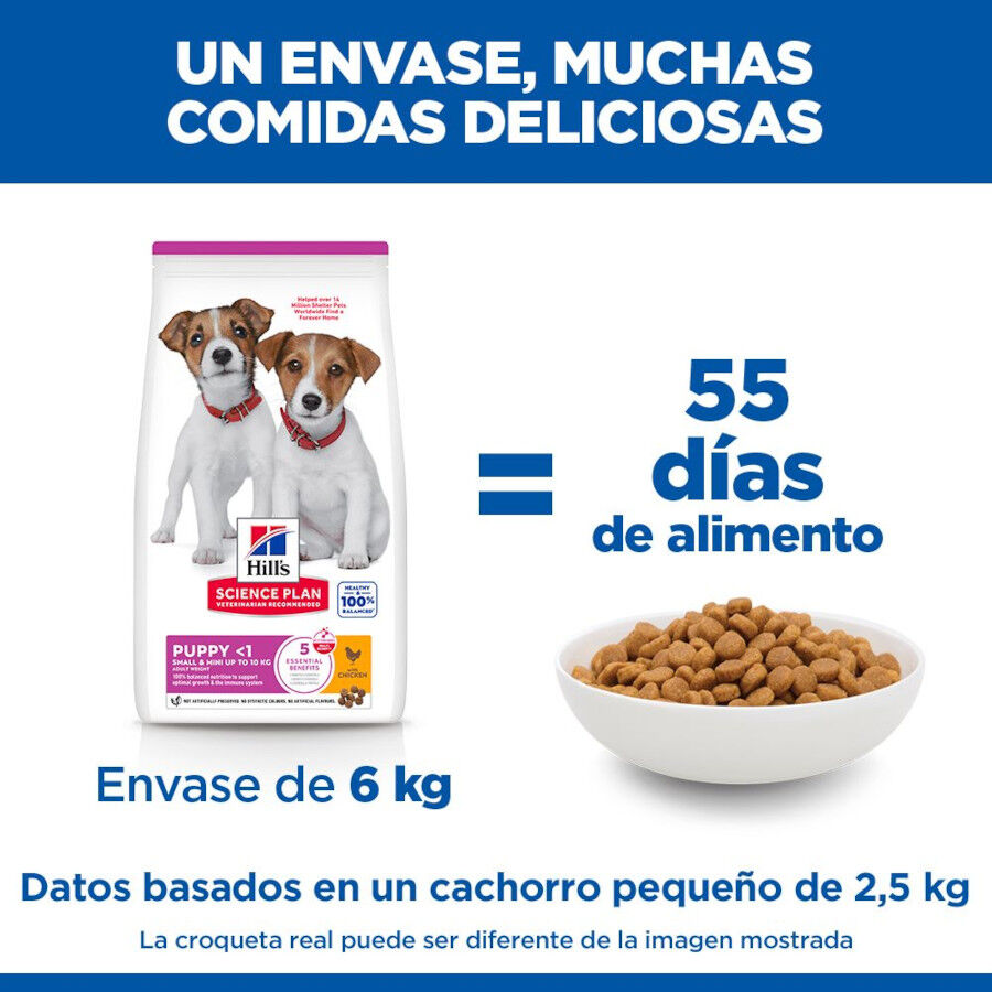 3 kg Hill's Science Plan Puppy Small y Mini Pollo Pienso para cachorros, , large Imagen numero 6