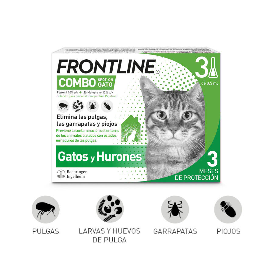 Frontline Combo Pipetas Antiparasitarias para gatos y hurones thumbnail