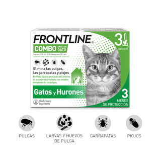Frontline Combo Pipetas Antiparasitarias para gatos y hurones