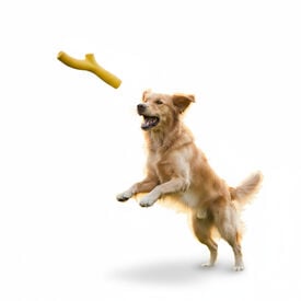 BECO Mordedor de Goma Amarillo para perros