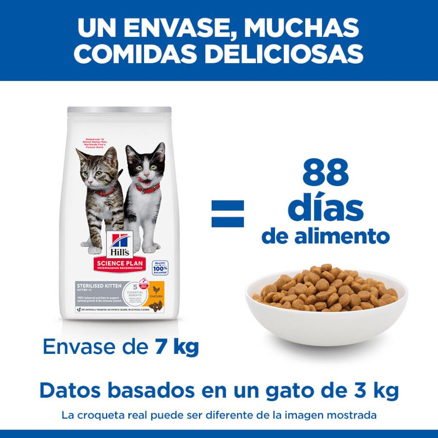 7 kg Hill's Science Plan Sterilised Kitten Pollo pienso para gatos, , large Imagen numero 6