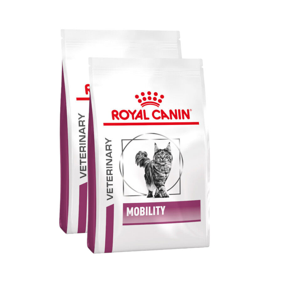 Royal Canin Veterinary Mobility pienso para gatos