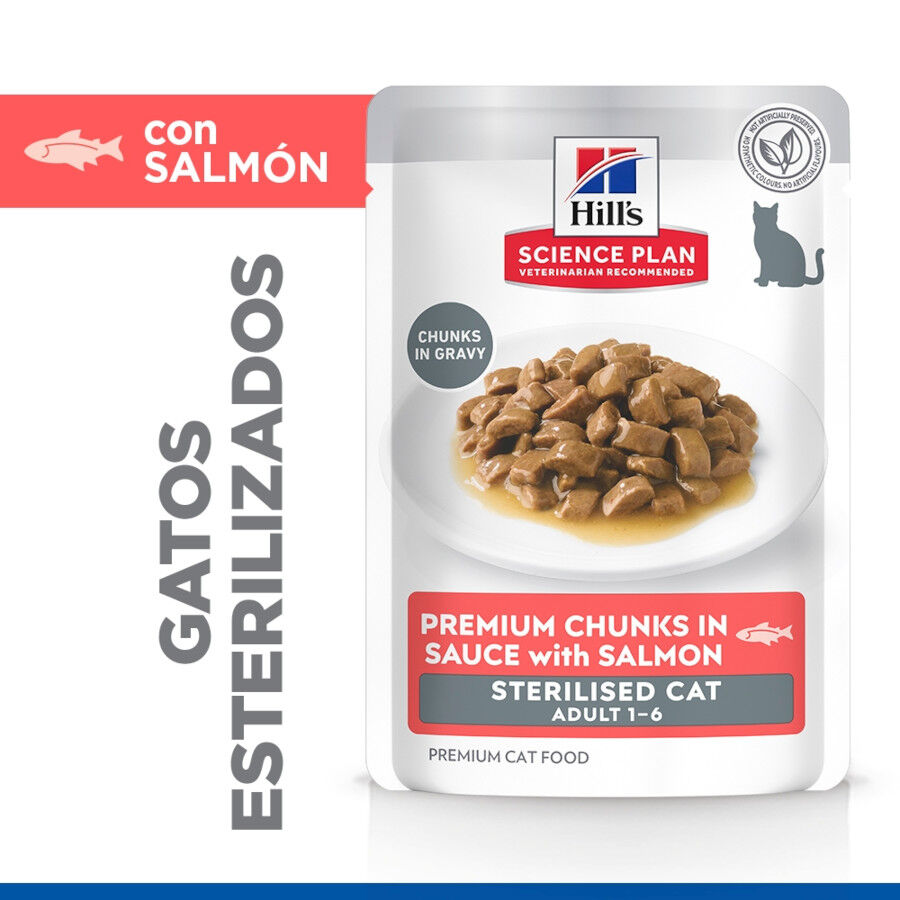 85 g Hill's Science Plan Sterilized Young Adult Salm&oacute;n sobre para gatos, , large Imagen numero 3