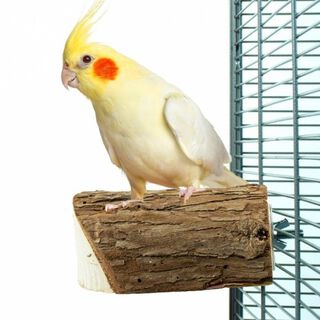 Cool parrots percha de tronco de madera para aves