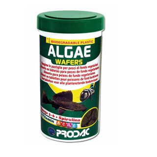 Prodac ALGAE WAFER comida para Axolotes